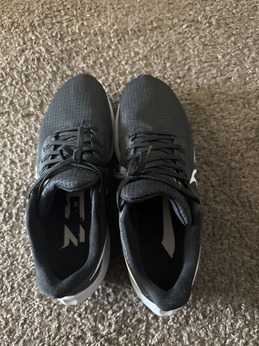 Nike Pegasus 39 men’s size 9.5
