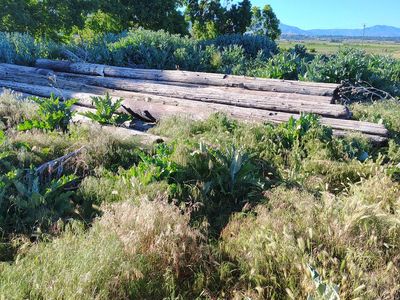 Aged telephone poles up to 28 feet long