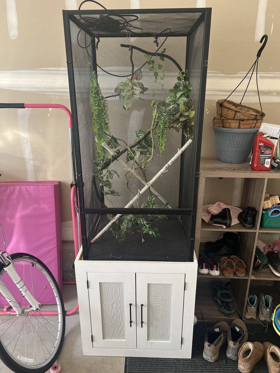 Large Cage | Chameleon or Bird