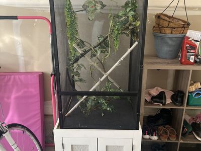 Large Cage | Chameleon or Bird