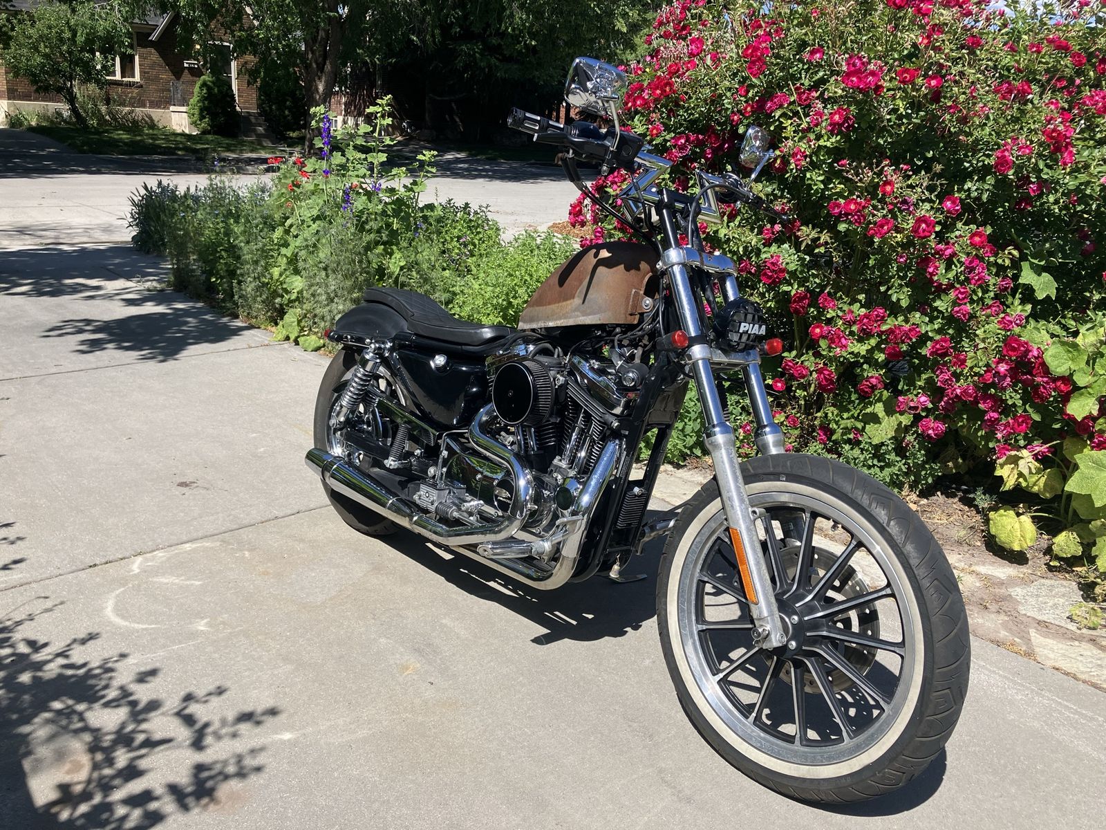 2002 Sportster XL1200C Custom
