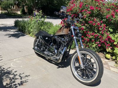 2002 Sportster XL1200C Custom
