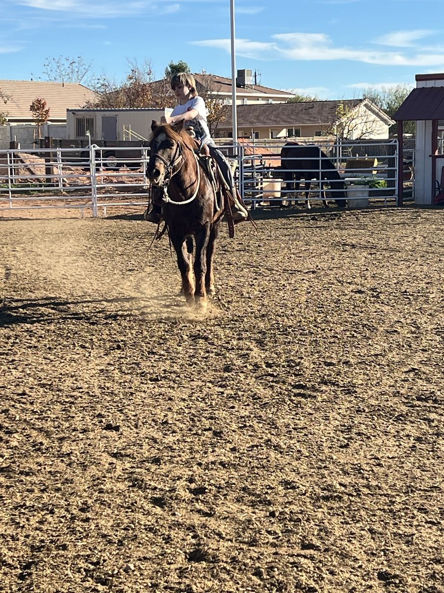 Pony