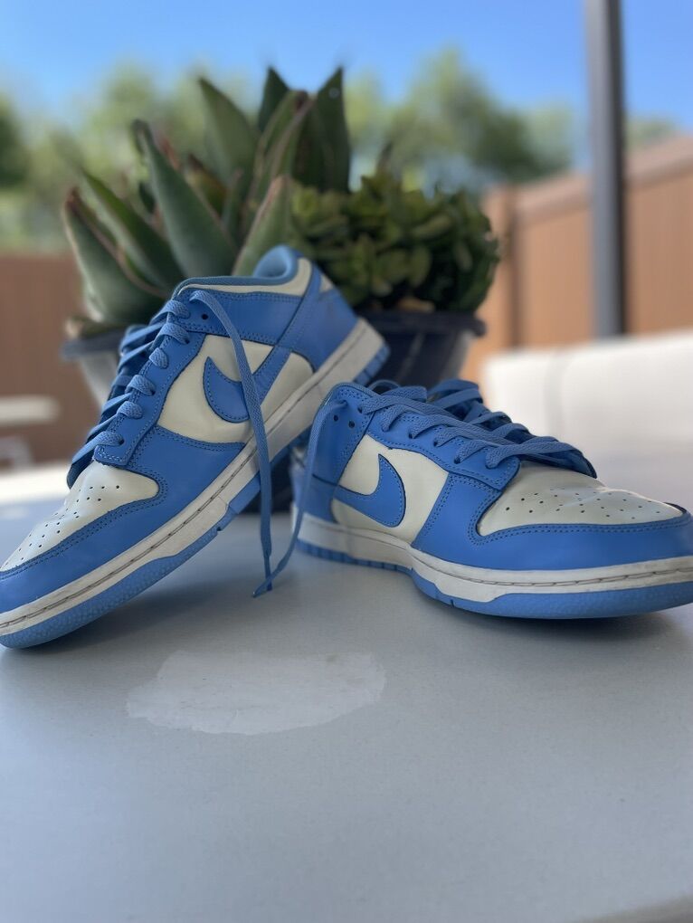 Nike Dunk Low Retro Blue