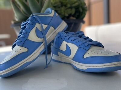 Nike Dunk Low Retro Blue