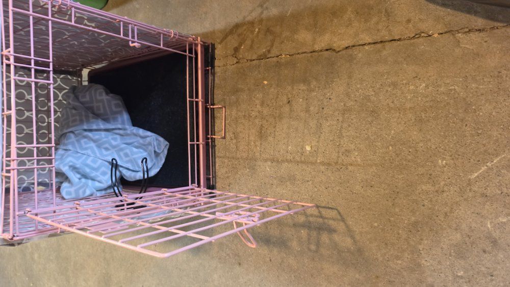 dog crate