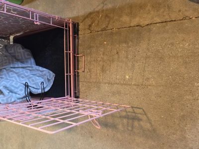 dog crate
