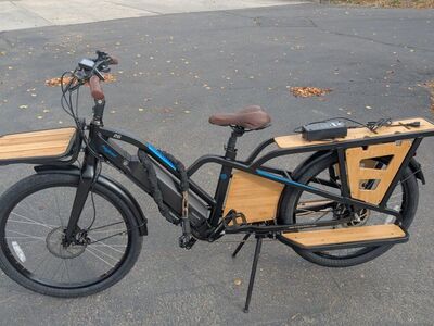 Cargo E-bike