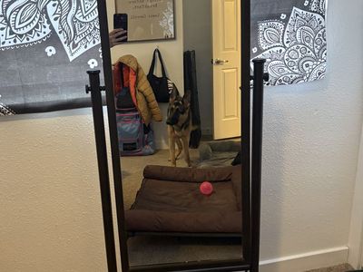 Full-Length Standing Mirror - Metal Frame