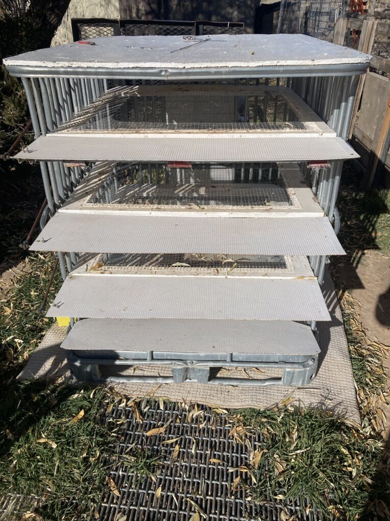 Cage For Releasing White Doves/Pigeons