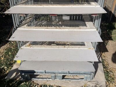 Cage For Releasing White Doves/Pigeons