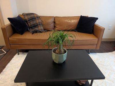 Tan Genuine Italian Leather Sofa