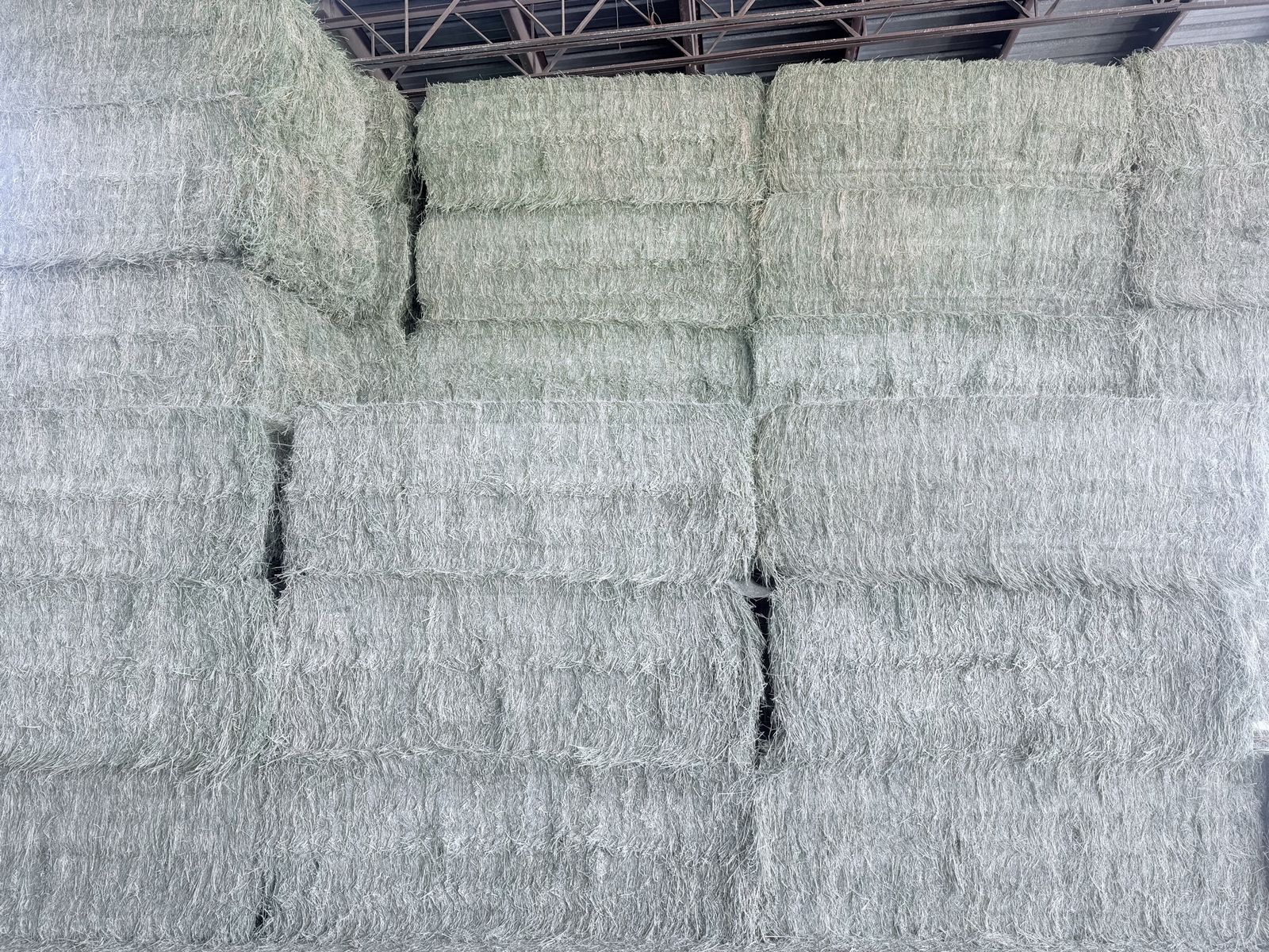 Alfalfa Hay for Sale