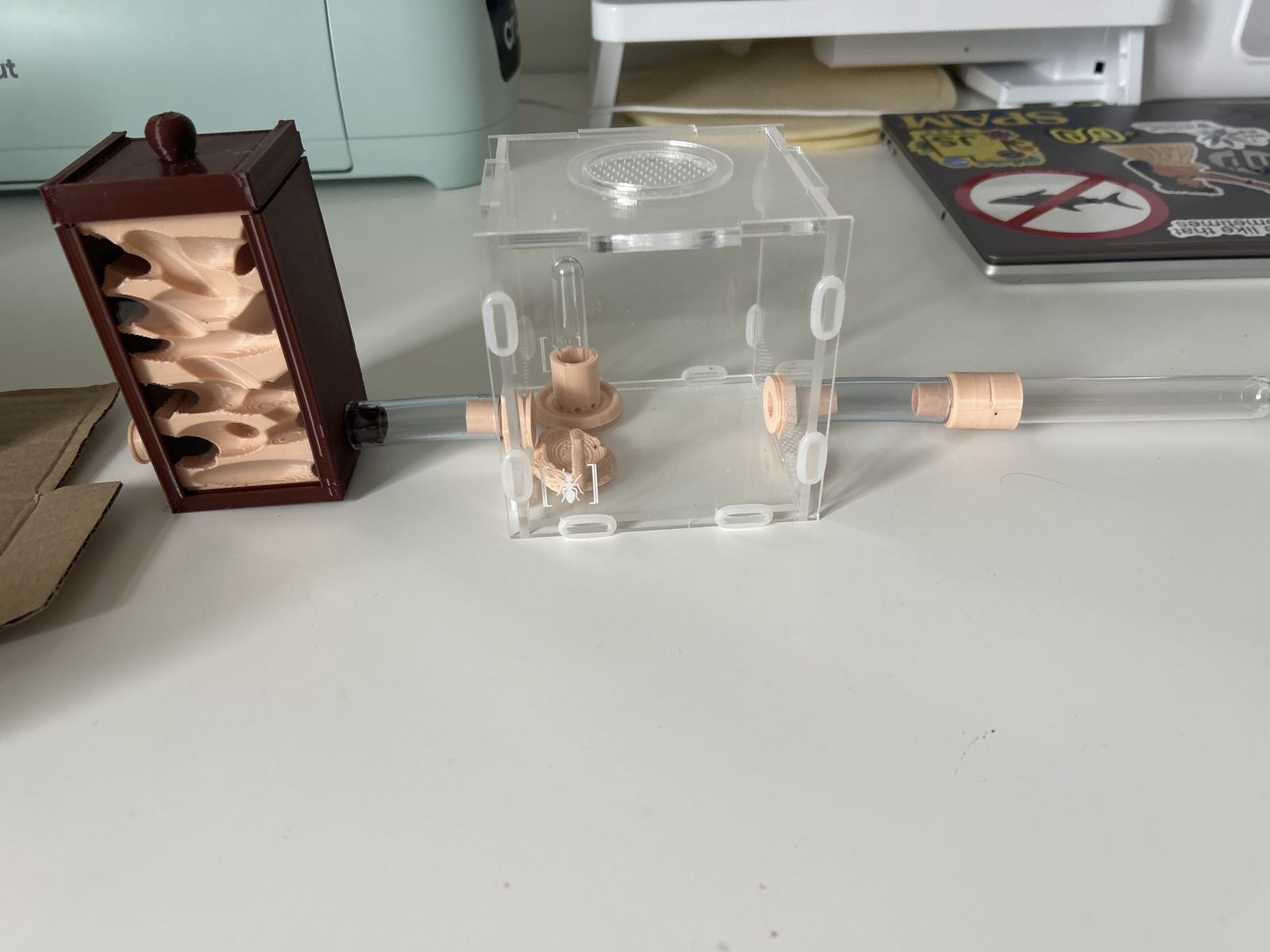 New Ant Farm