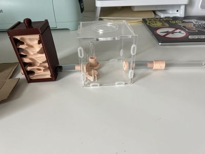 New Ant Farm