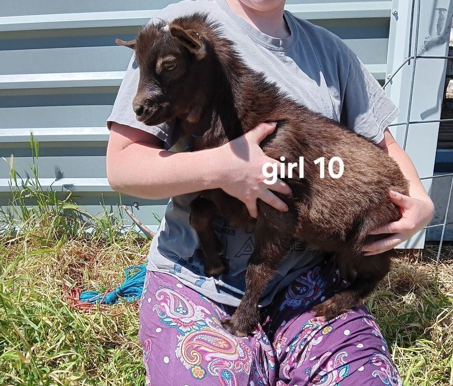 Main image 19