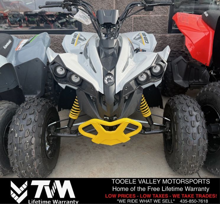 2026 Can-Am Renegade 110 EFI
