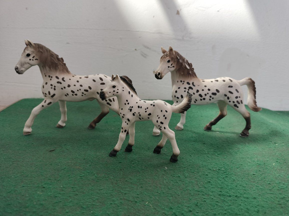 Schleich Knabstrupper Stallions + Colt