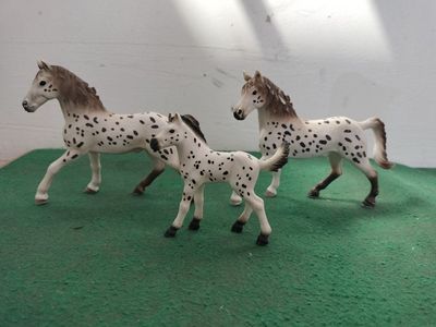 Schleich Knabstrupper Stallions + Colt