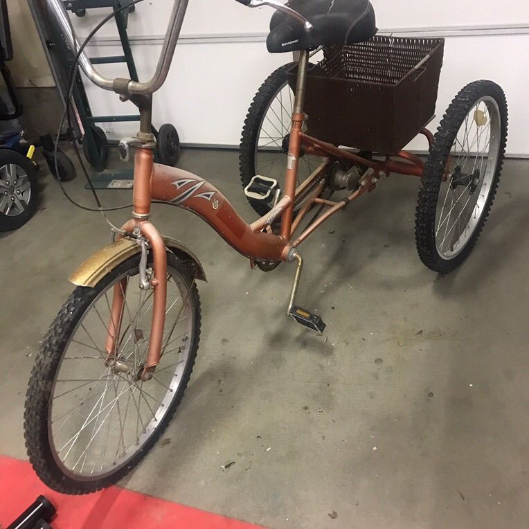 Adult Trikes