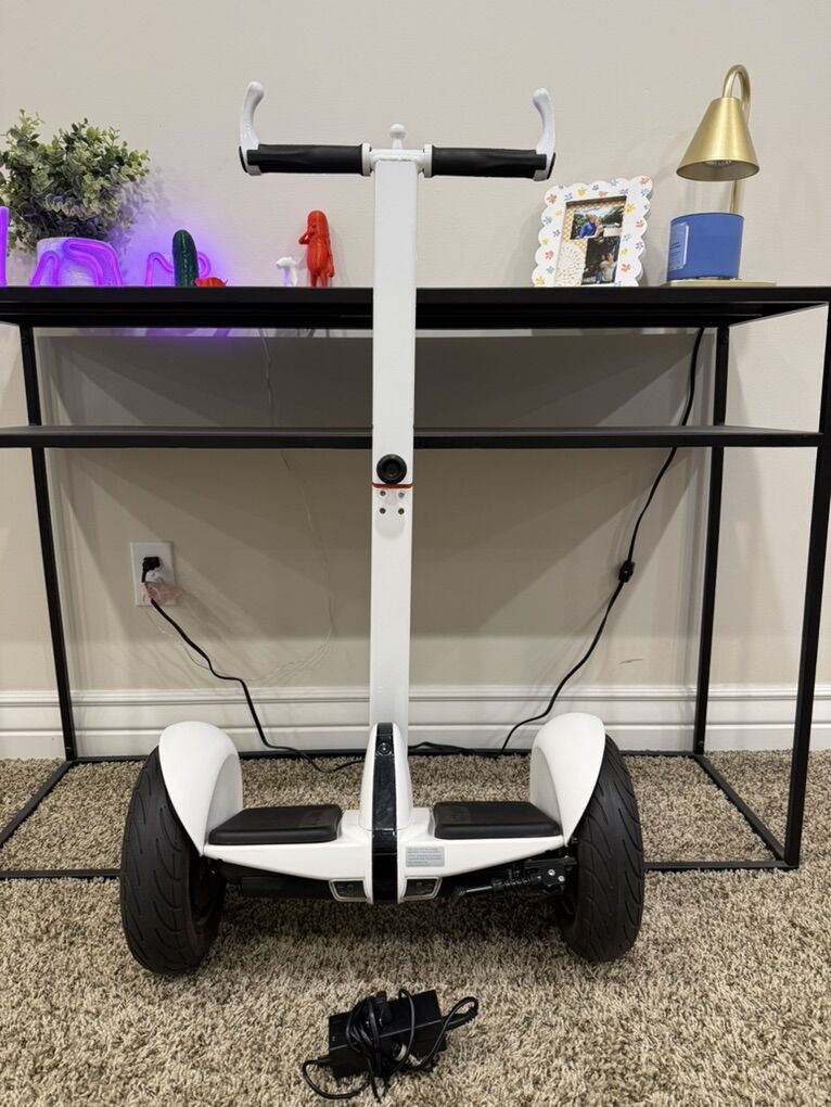 Segway Ninebot S Pro