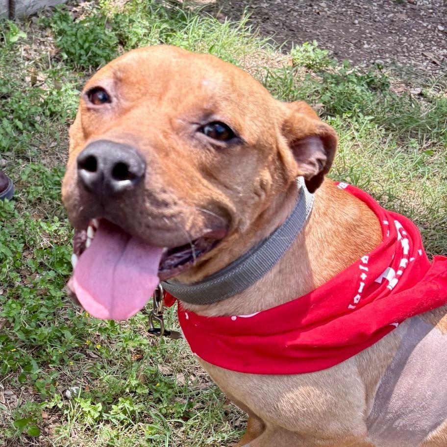 Main image 3