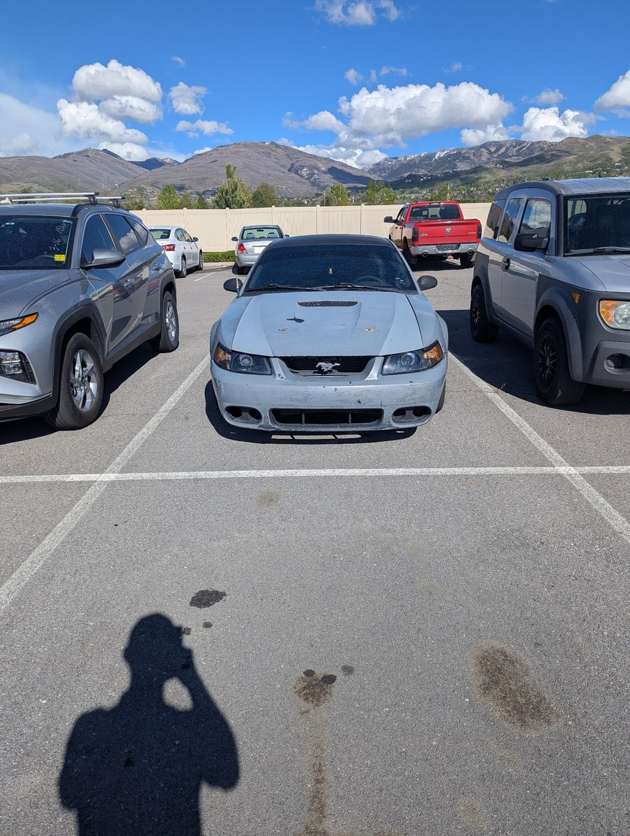 2001 FORD MUSTANG GT