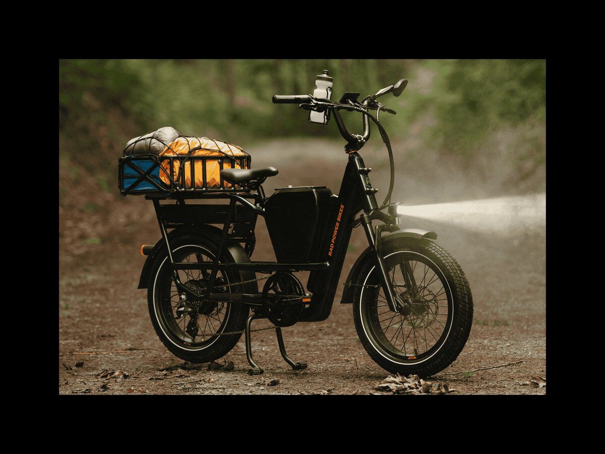e-Bike RadRunner Max Electric Cargo Utility Bike