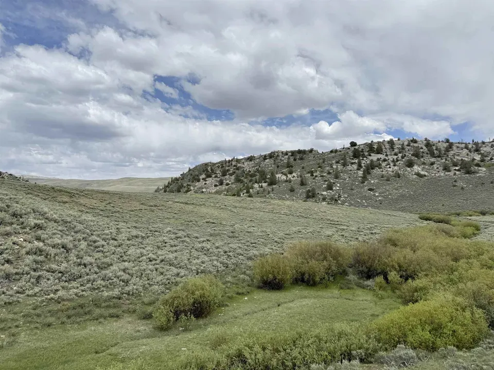 Main image 3