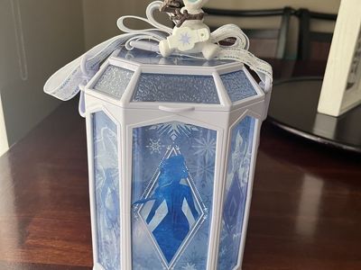 Tokyo Disney Resort Popcorn Buckets