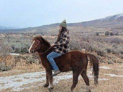 Pony