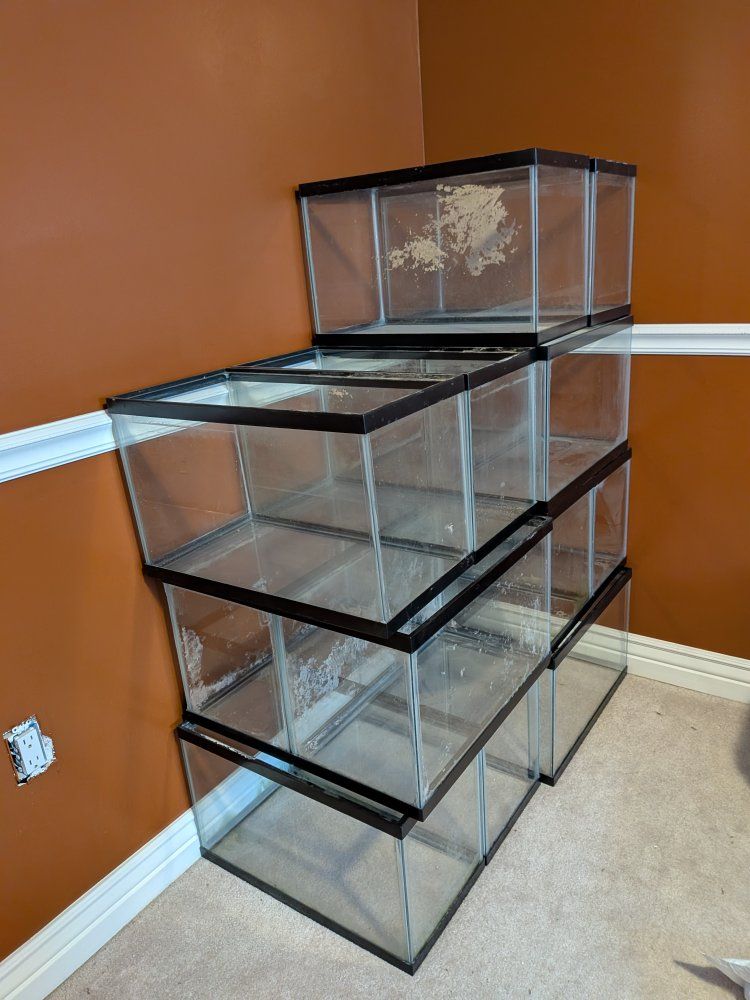 Glass Aquariums / Terrariums - Various Sizes, Used, Set of 6