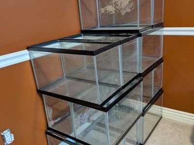 Glass Aquariums / Terrariums - Various Sizes, Used, Set of 6