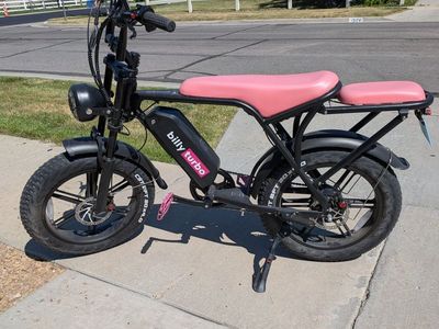 e bike Billy Turbo