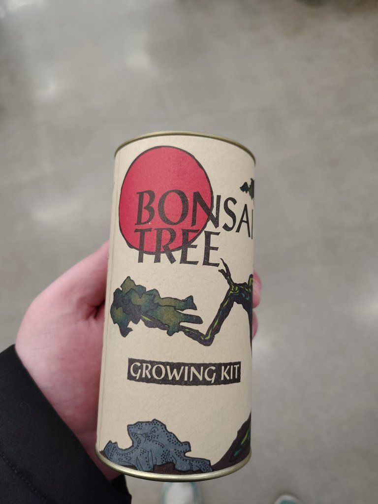 Bonsai Tree Growing Kit in Canister