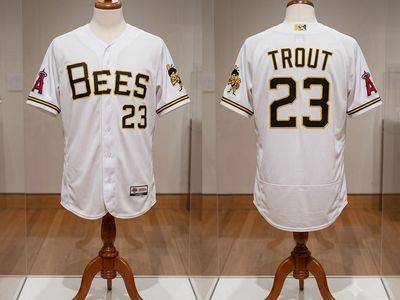 Custom SLC Bees Jersey