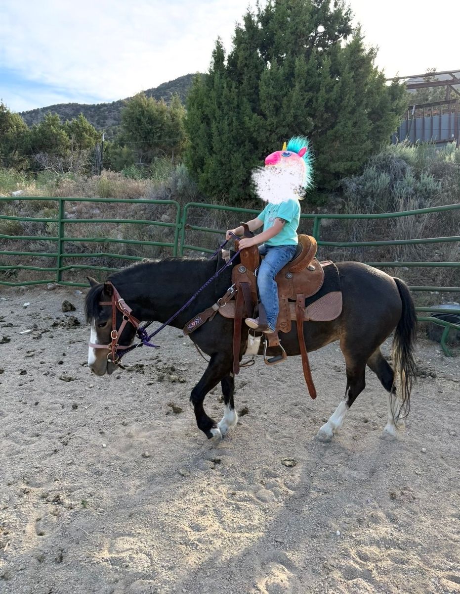 Pony
