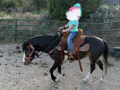 Pony