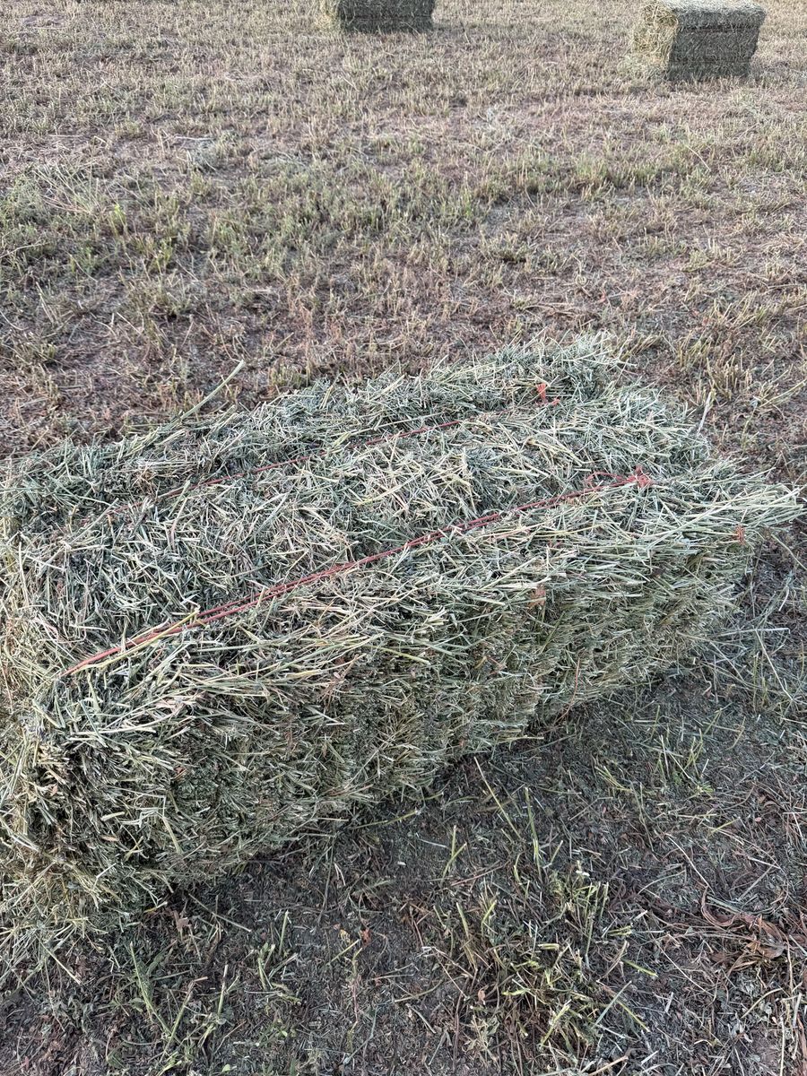 Second Crop Alfalfa Hay Bales