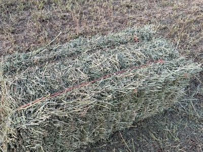 Second Crop Alfalfa Hay Bales