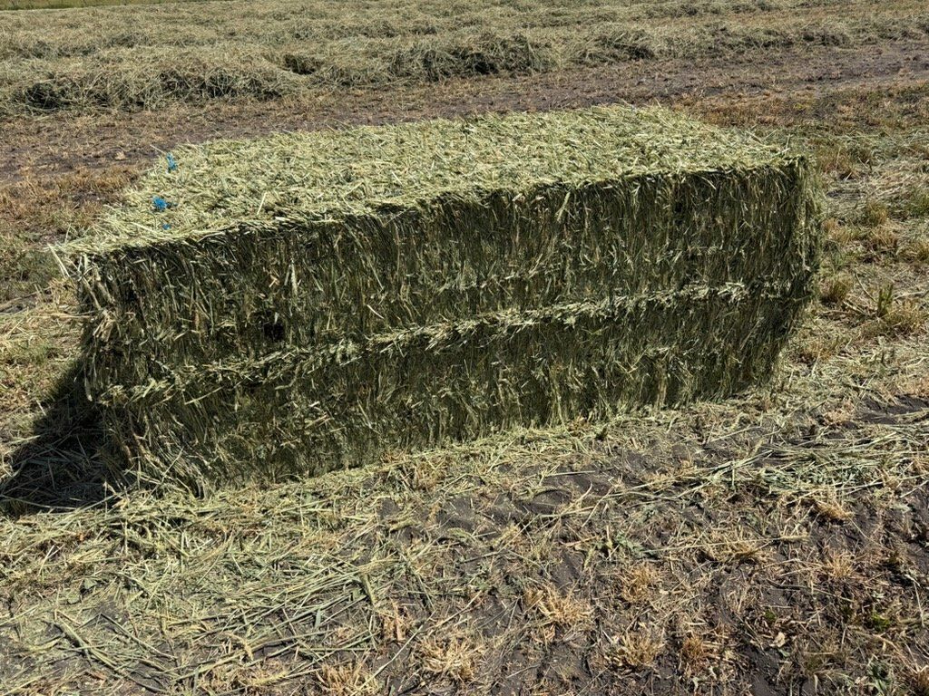 3x4x8 4 way Hay