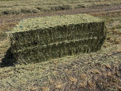3x4x8 4 way Hay