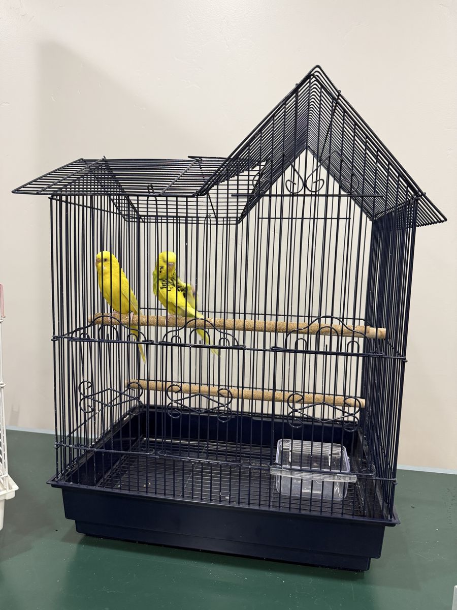 Main image 7