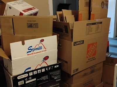 Free Moving Boxes