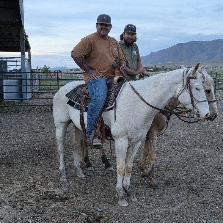 Ultimate cow horse