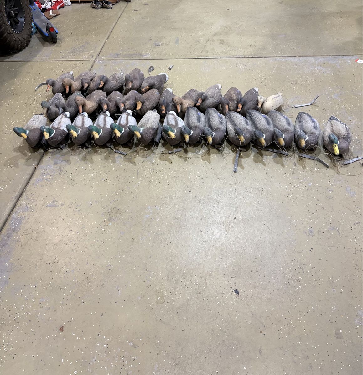 Large Lot of Floating Duck Decoys with Weights and Lines