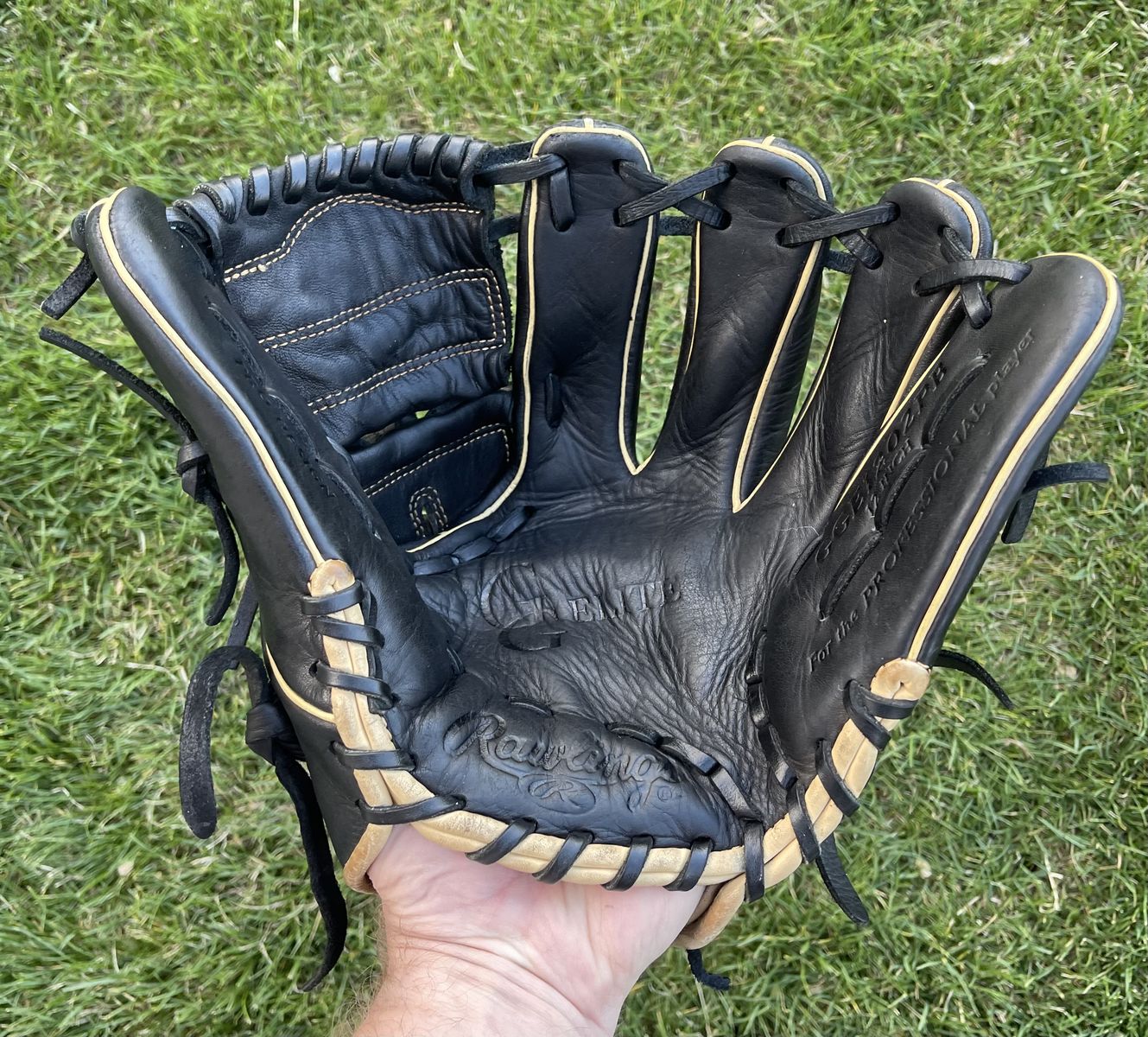 Rawlings Gold Glove Elite 12 in. Baseball Glove