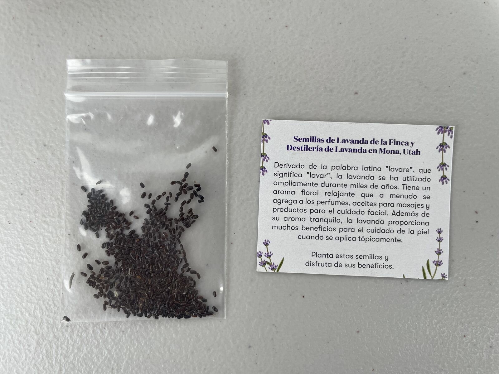 Lavender Seeds – Mona, Utah Farm Grown