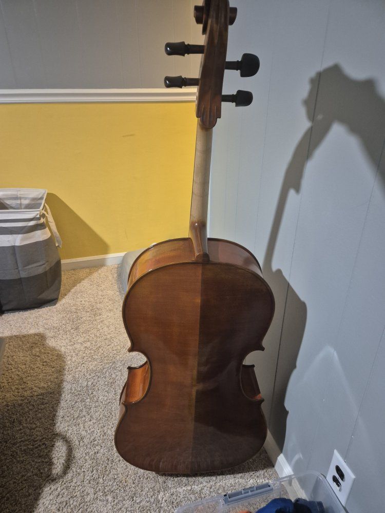 Main image 6