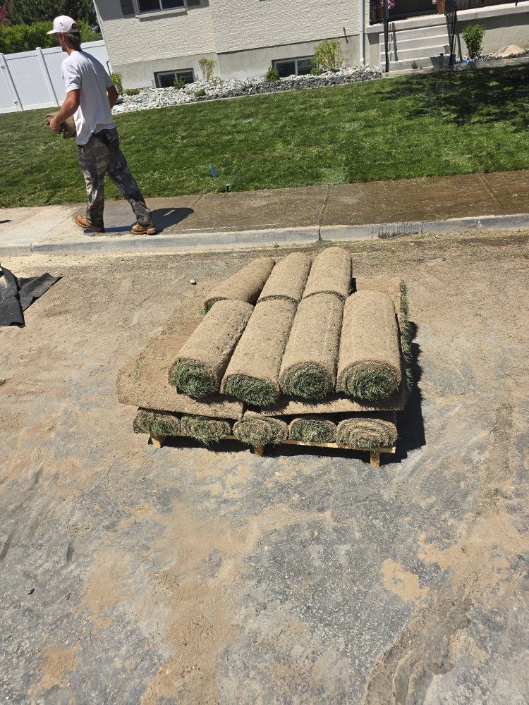 Free sod